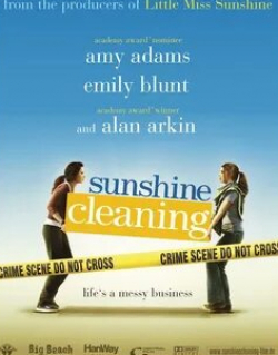 Эми Адамс и фильм Чистка до блеска (2008)